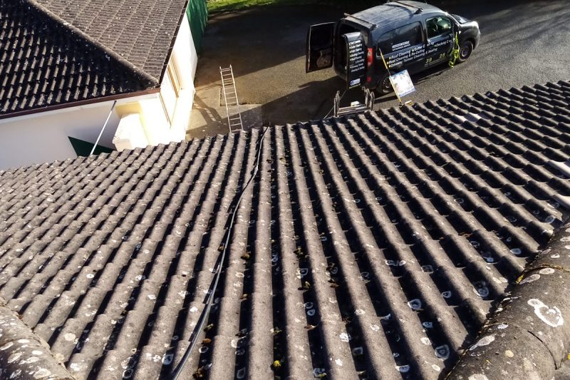 roof-cleaning